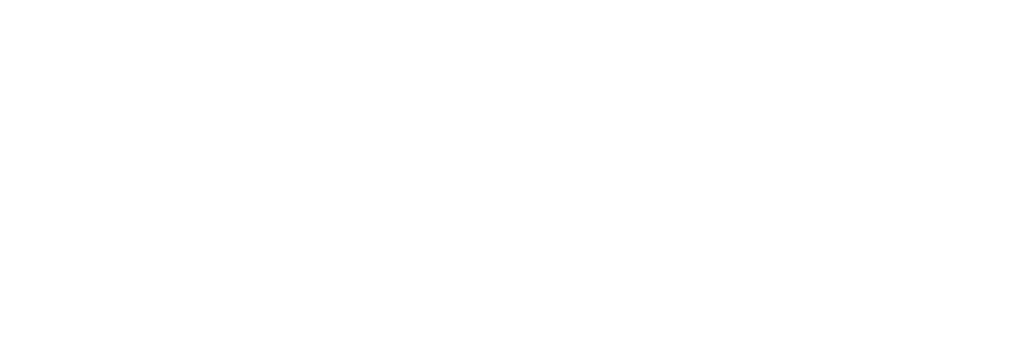 DIGIPULL logo